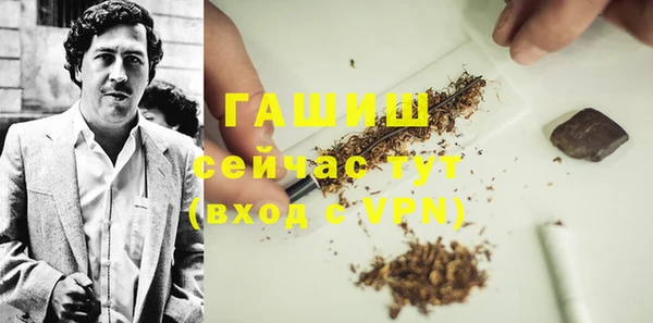 стафф Ельня