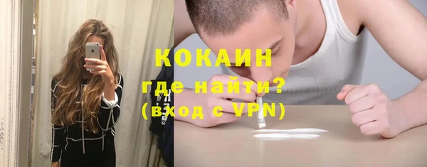 стафф Ельня