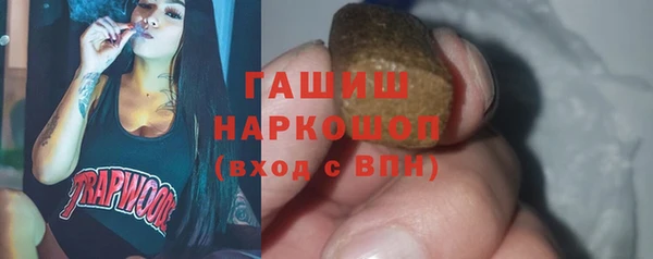 стафф Ельня
