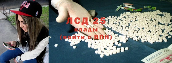 стафф Ельня