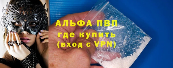 стафф Ельня