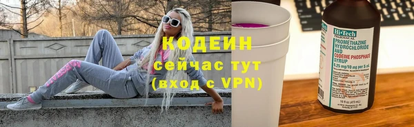 стафф Ельня