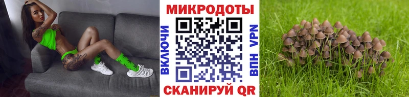 Купить  Знаменск  Галлюциногенные грибы прущие грибы 